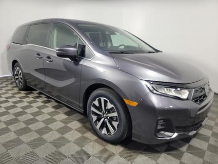 2025 Honda Odyssey Rockville MD