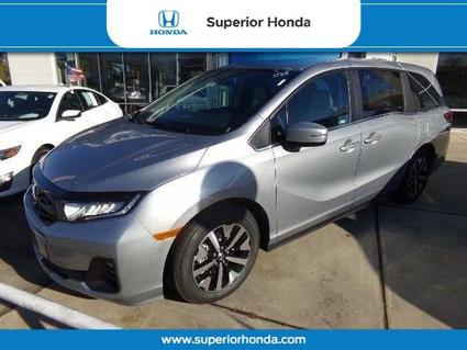 2026 Honda Odyssey Orangeburg SC