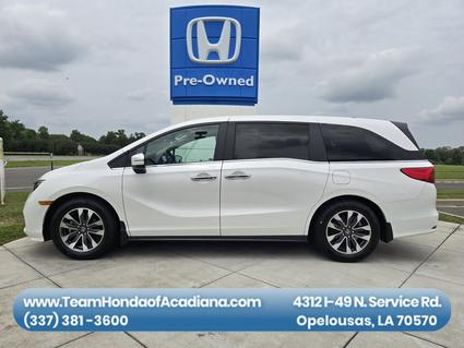 2024 Honda Odyssey Opelousas LA