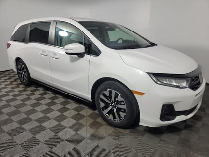 2025 Honda Odyssey Rockville MD