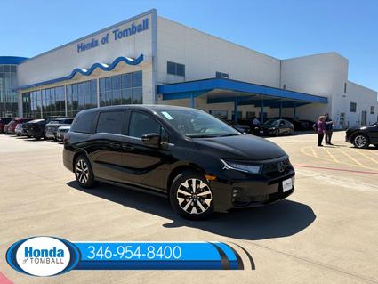 2026 Honda Odyssey Tomball TX