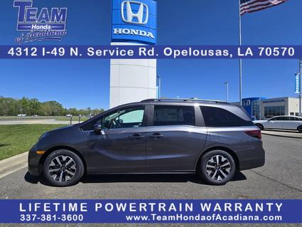 2026 Honda Odyssey Opelousas LA