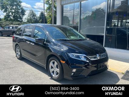 2019 Honda Odyssey Louisville KY