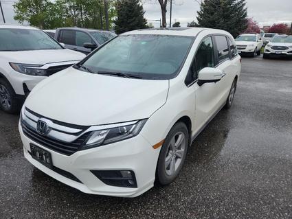 2019 Honda Odyssey Bozeman MT