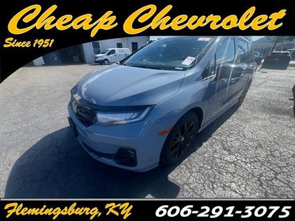 2025 Honda Odyssey Flemingsburg KY