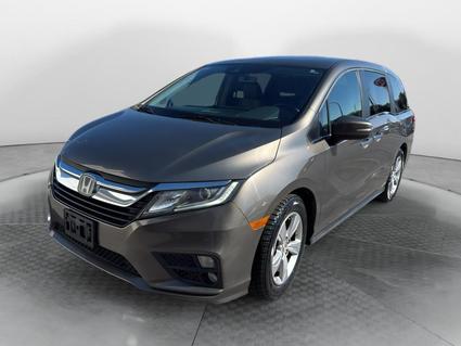 2019 Honda Odyssey Sheffield AL
