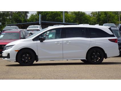 2026 Honda Odyssey Tupelo MS