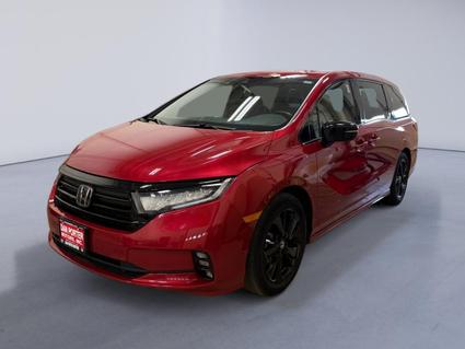 2024 Honda Odyssey Dickinson ND