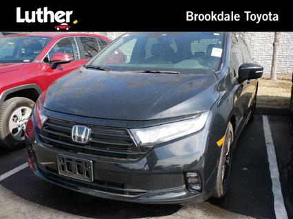 2023 Honda Odyssey Minneapolis MN
