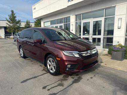 2019 Honda Odyssey Lexington KY
