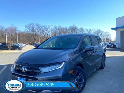 2026 Honda Odyssey Fredericksburg VA