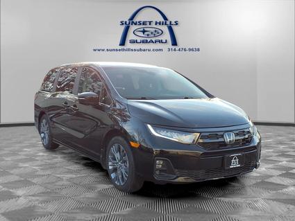 2025 Honda Odyssey Saint Louis MO