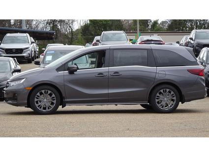 2025 Honda Odyssey Tupelo MS