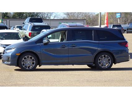 2026 Honda Odyssey Tupelo MS