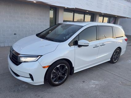 2024 Honda Odyssey Marshall MN