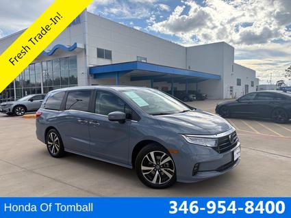 2024 Honda Odyssey Tomball TX