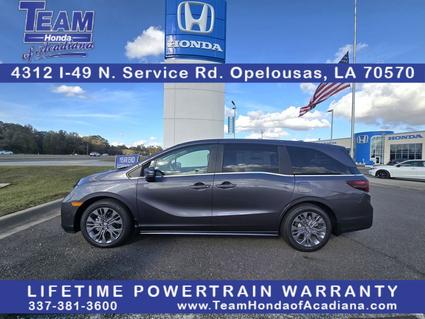 2026 Honda Odyssey Opelousas LA