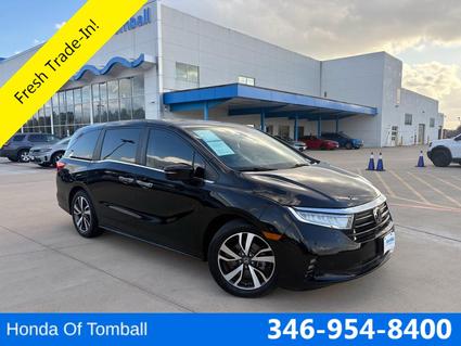2023 Honda Odyssey Tomball TX