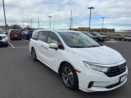 2024 Honda Odyssey Bozeman MT