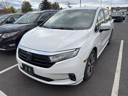 2024 Honda Odyssey Bozeman MT
