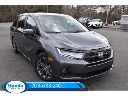2026 Honda Odyssey Chantilly VA