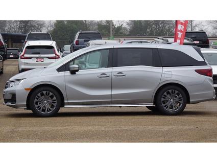 2026 Honda Odyssey Tupelo MS