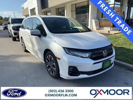 2025 Honda Odyssey Louisville KY