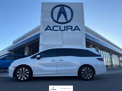 2025 Honda Odyssey Albuquerque NM
