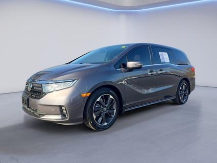 2023 Honda Odyssey Knoxville TN