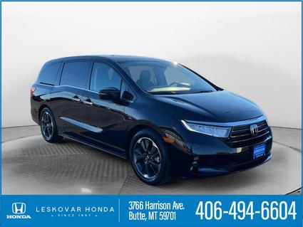 2023 Honda Odyssey Butte MT