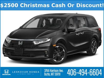 2023 Honda Odyssey Butte MT