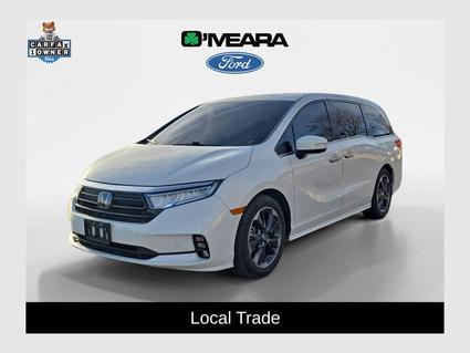 2022 Honda Odyssey Denver CO