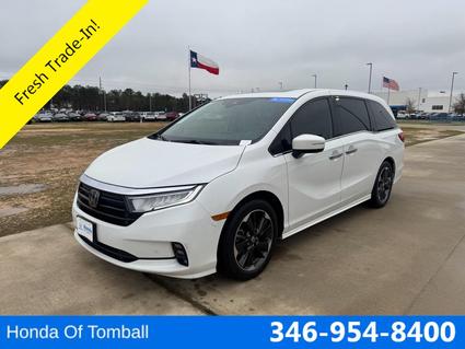 2023 Honda Odyssey Tomball TX