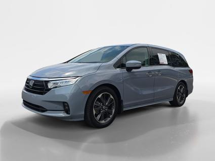 2023 Honda Odyssey Knoxville TN