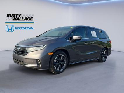 2024 Honda Odyssey Knoxville TN