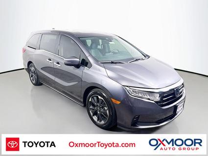 2023 Honda Odyssey Louisville KY