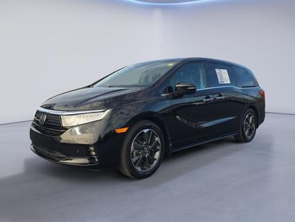 2023 Honda Odyssey Knoxville TN