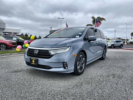 2024 Honda Odyssey Salinas CA