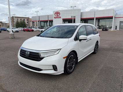 2023 Honda Odyssey Paducah KY