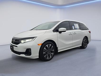 2025 Honda Odyssey Knoxville TN