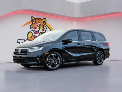 2024 Honda Odyssey Hernando MS