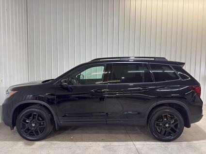 2025 Honda Passport Wooster OH