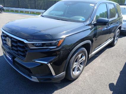2024 Honda Pilot Murfreesboro TN
