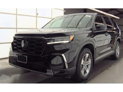 2023 Honda Pilot Murfreesboro TN