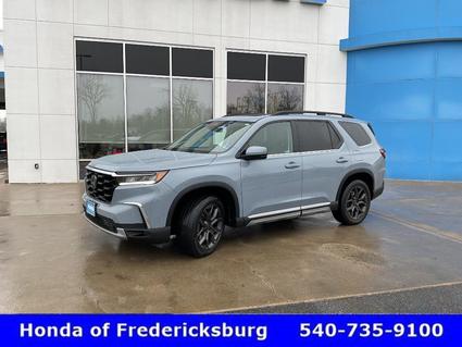 2024 Honda Pilot Fredericksburg VA