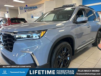 2025 Honda Pilot Tuscaloosa AL