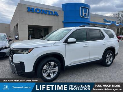 2026 Honda Pilot Tuscaloosa AL