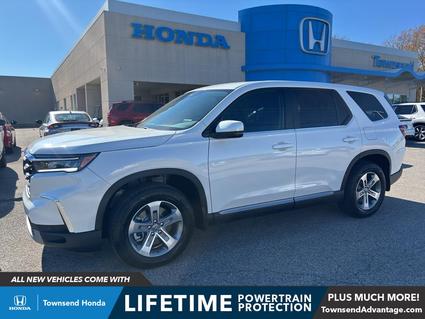 2025 Honda Pilot Tuscaloosa AL