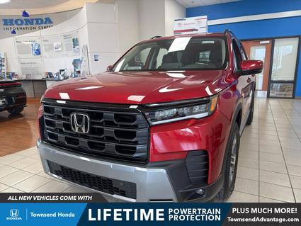 2026 Honda Pilot Tuscaloosa AL