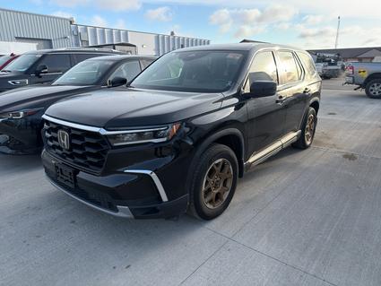 2024 Honda Pilot Marshall MN